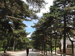 -东北大学(南湖校区)