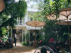 -Fern Forest Cafe