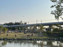 -宝安西湾红树林湿地公园