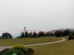 -铁山坪森林公园