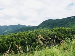 -塔川景区