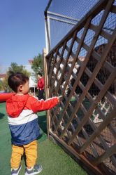 -萌宠亲子动物乐园(槐房万达店)