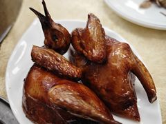 -石岐鸽师傅餐厅(石岐总店)
