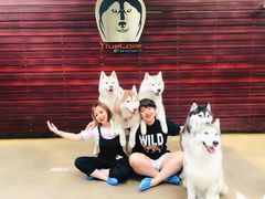 -TrueLove @ Neverland (Husky Cafe)