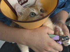 -嘉馨宠物医院·CT影像转诊·心脏科·犬猫全科诊疗中心(下沙大学城院区)