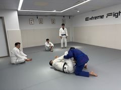 -EFL巴西柔术·综合格斗·泰拳·少儿体能训练(虹桥德必馆)