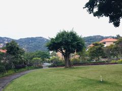 -厦门国家会计学院