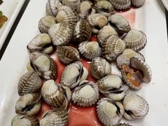 小炒贝尖-华盛丰温州大排档(东三环南路店)