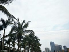 -珠海拱北口岸