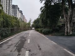 -大渡口区义渡公园