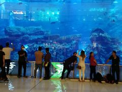 -迪拜水族馆及水下动物园