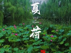 -颐和园