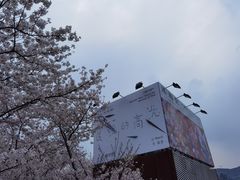 -龙美术馆(西岸馆)