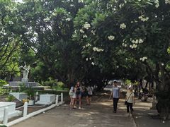 -吐斯廉屠杀博物馆