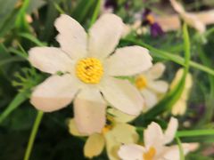 -拿渡麻辣香锅(世茂广场·工三店)