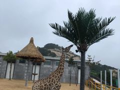 -西霞口神雕山野生动物世界