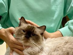 -藏猫猫咖啡主题馆(中央大道店)