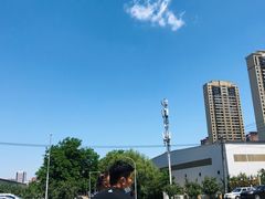 -长白岛森林公园