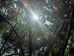 -燕晗山郊野公园