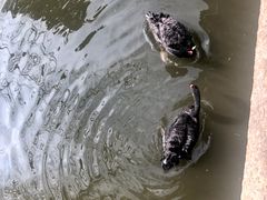 -水绘园