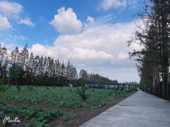 -前小桔亲子创意农场·草莓采摘·露营烧烤