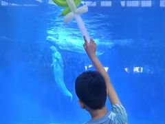 -泉城欧乐堡海洋极地世界