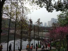 -重庆彩云湖湿地公园