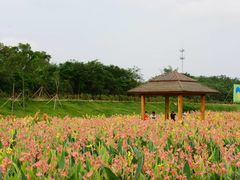 -那考河湿地公园