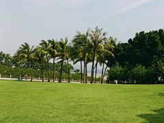 -深圳湾公园(南山区)