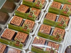 -奈雪的茶(石家庄万象城店)
