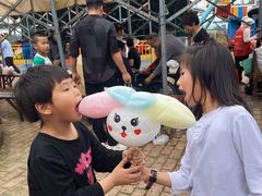 -武汉紫薇都市田园