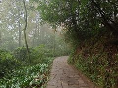 -都江堰中华大熊猫苑