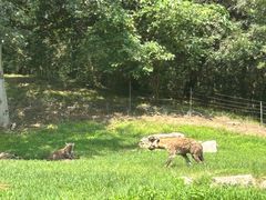 -北京野生动物园