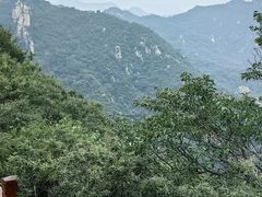 -大岭沟猕猴桃谷风景区