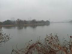 -月湖风景区