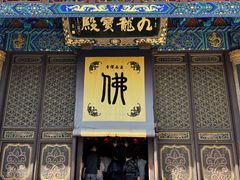 -普陀山风景名胜区-法雨禅寺