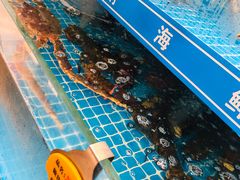 -喜来酌海鲜·饺子(和平一店)