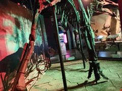 -正佳自然科学博物馆