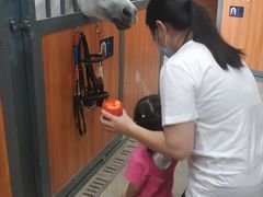 -骑乐马术(广州奥体优托邦中心)