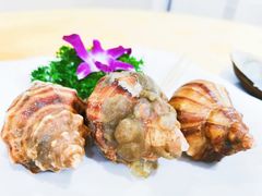 海螺-蚝专家(北滘店)