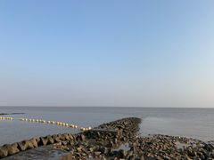 -南汇嘴观海公园