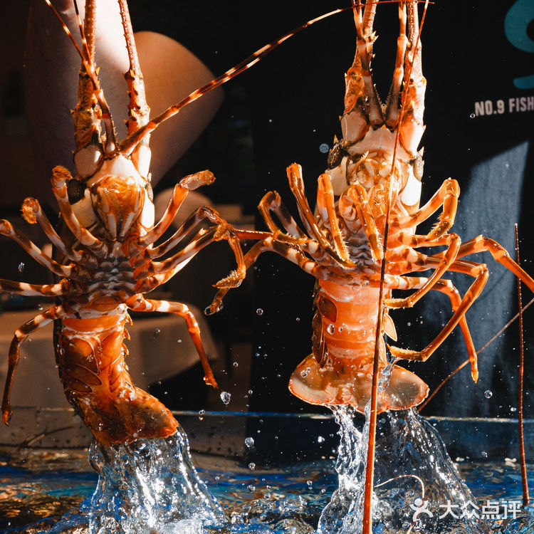 广州探店 | 全新“海鲜市场”，青龙虾只要￥99/只！