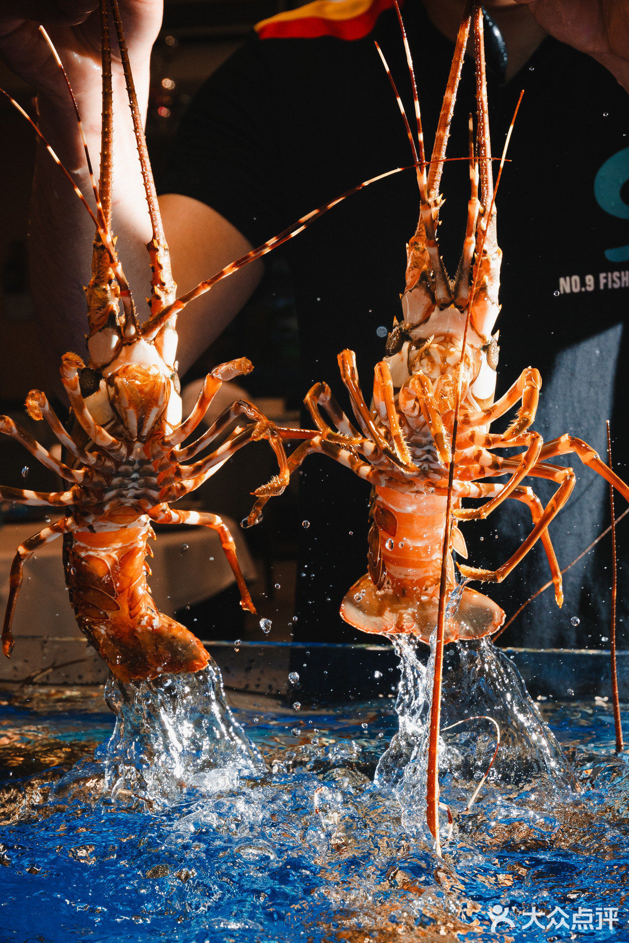 广州探店 | 全新“海鲜市场”，青龙虾只要￥99/只！