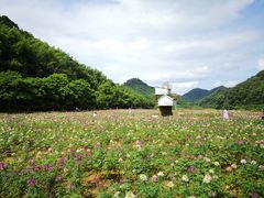 -广州市石门国家森林公园