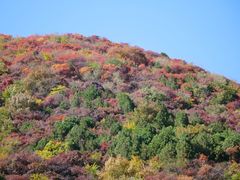 -北京西山国家森林公园