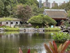 -顺峰山公园