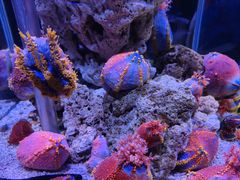 -太平洋海底世界