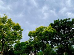 -南开大学滨海学院