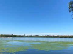 -长春市南湖公园