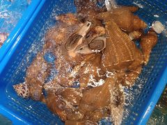 -御同亨酒楼·喜宴